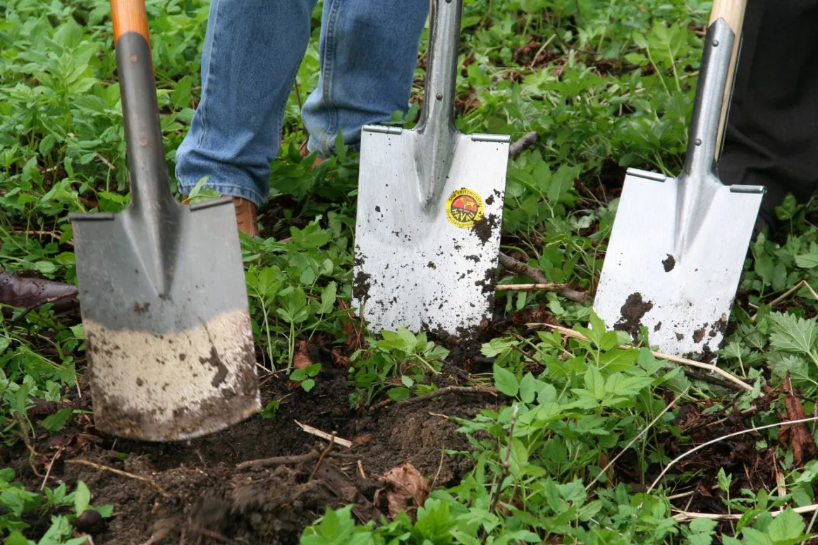 6 Tips For Yard & Garden Tool Maintenance