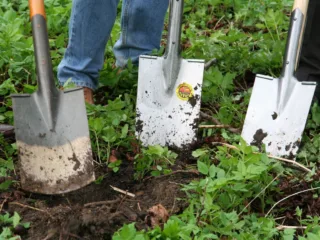 6 Tips For Yard & Garden Tool Maintenance
