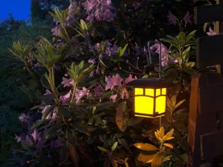 The Art and Craft of Moon Gardens