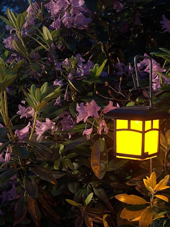The Art and Craft of Moon Gardens