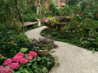 hAlUBAAAAAAAAAADANyZwAAFF2mhIAAAAAElFTkSuQmCC