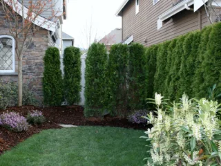 hAlUBAAAAAAAAAADANyZwAAFF2mhIAAAAAElFTkSuQmCC