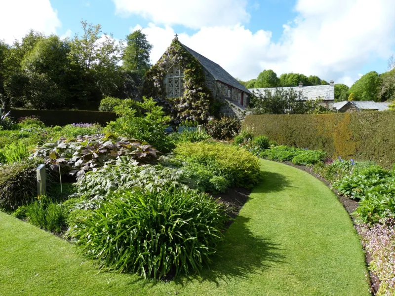 Could your lawn use a revival