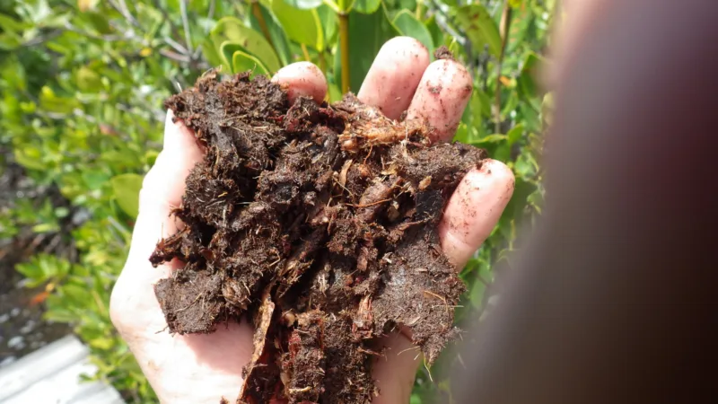 Amending your soil organically is the way to grow!