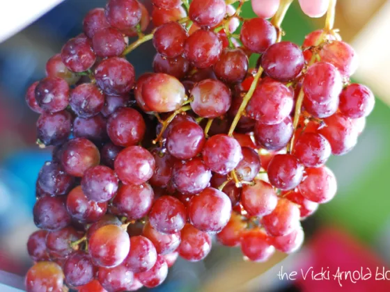 Amazing Grapes: Hardy Varieties for Northern Gardens