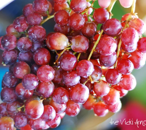 Amazing Grapes: Hardy Varieties for Northern Gardens