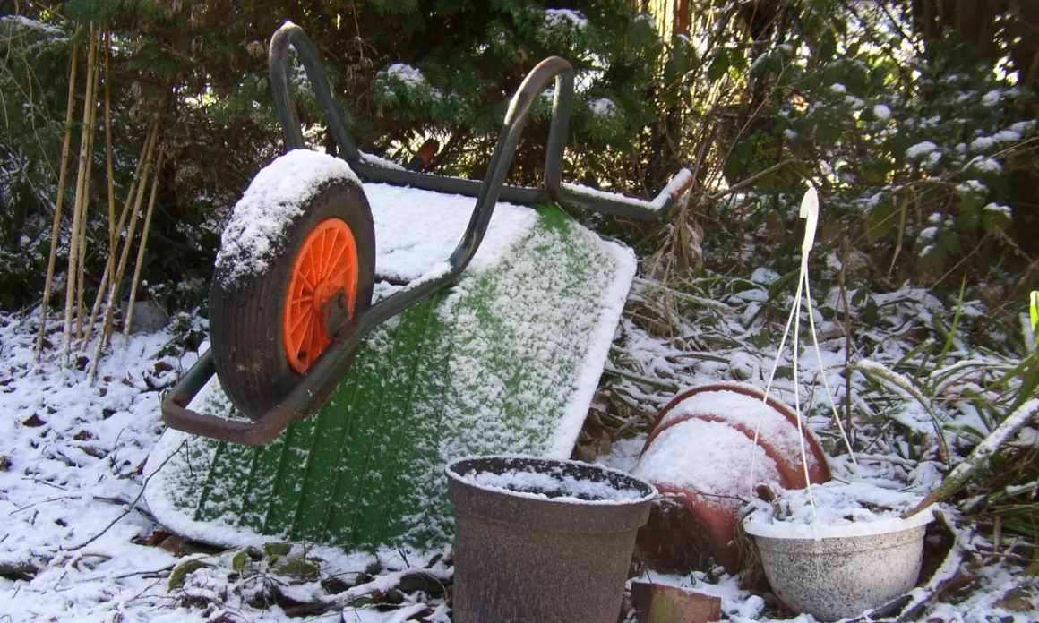 featured image - The Active Winter Gardener: a Time for Planning Ahead