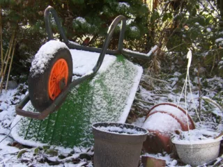 featured image - The Active Winter Gardener: a Time for Planning Ahead