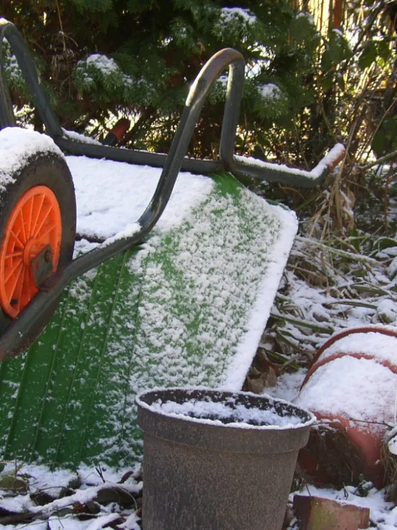 featured image - The Active Winter Gardener: a Time for Planning Ahead