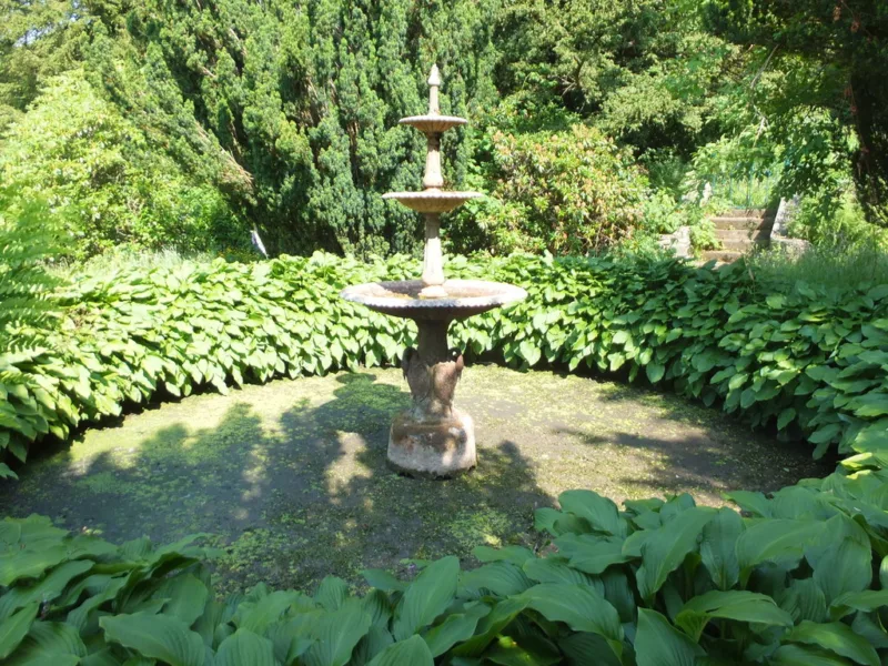 image - The creative possibilities for hostas in a landscape are endless
