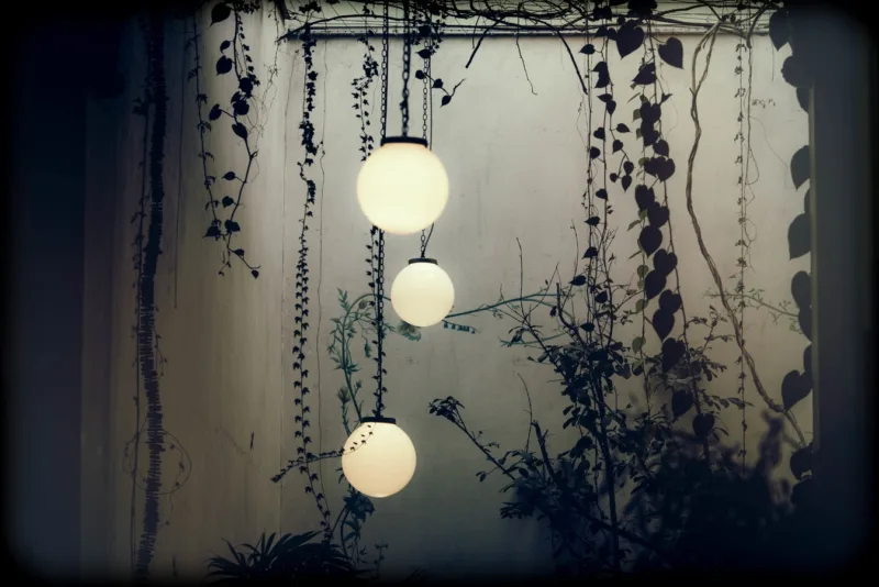 Outdoor Hanging Lights