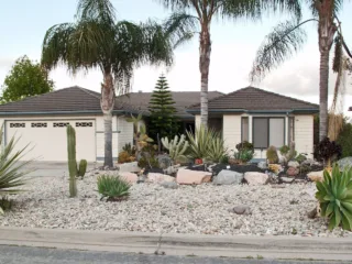 Low-Cost Landscaping: Tips to Improve Your Compound