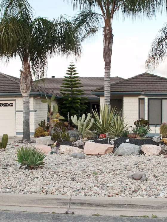 Low-Cost Landscaping: Tips to Improve Your Compound