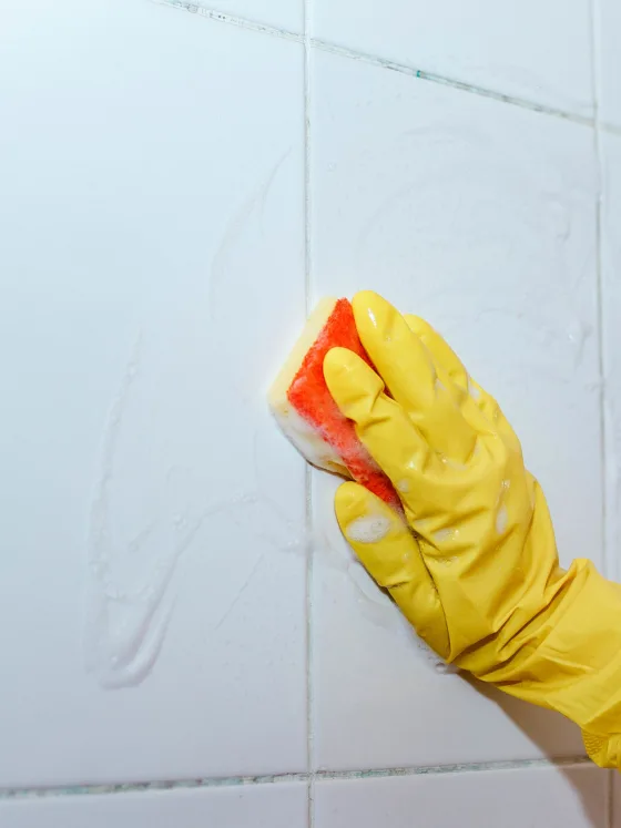 A Guide to Removing and Preventing Mold on Grout