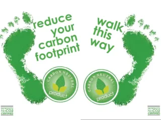 Reducing Your Environmental Impact During Winter