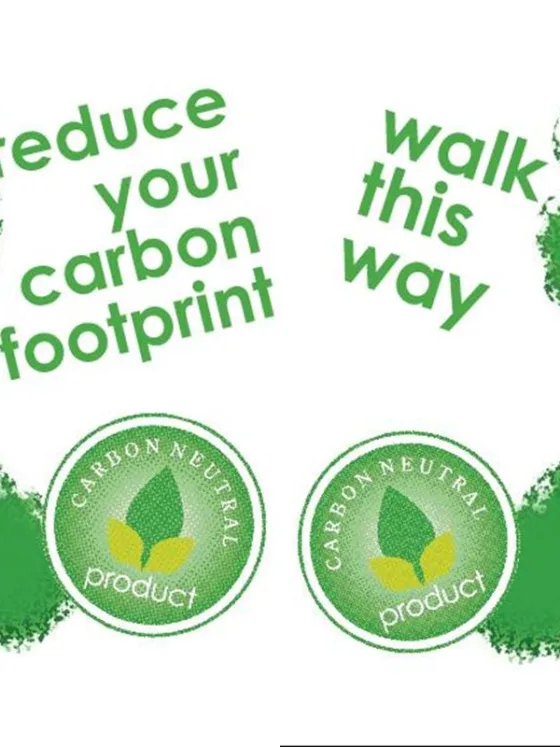 Reducing Your Environmental Impact During Winter