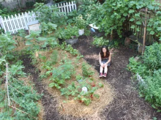 Essential Steps to Start Your Homestead Journey