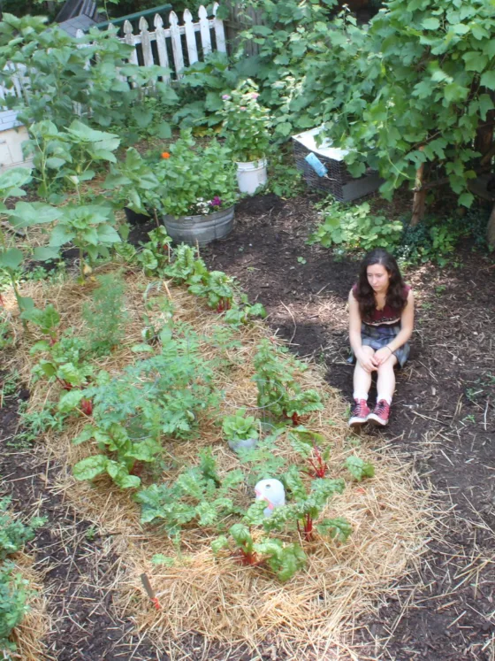 Essential Steps to Start Your Homestead Journey