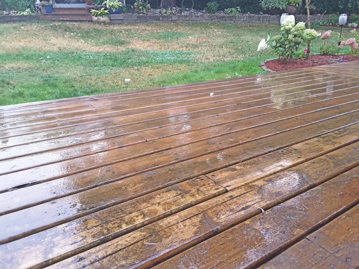 featured image - The Benefits of Pressure-Treated Wood A Long-Lasting Solution