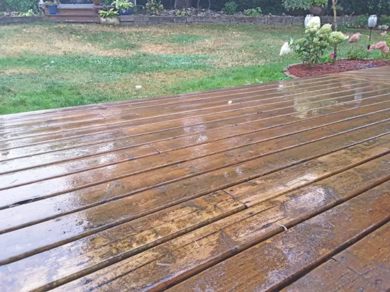 featured image - The Benefits of Pressure-Treated Wood A Long-Lasting Solution