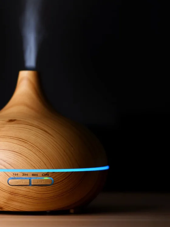 The Benefits of Using an Essential Oil Diffuser Humidifier