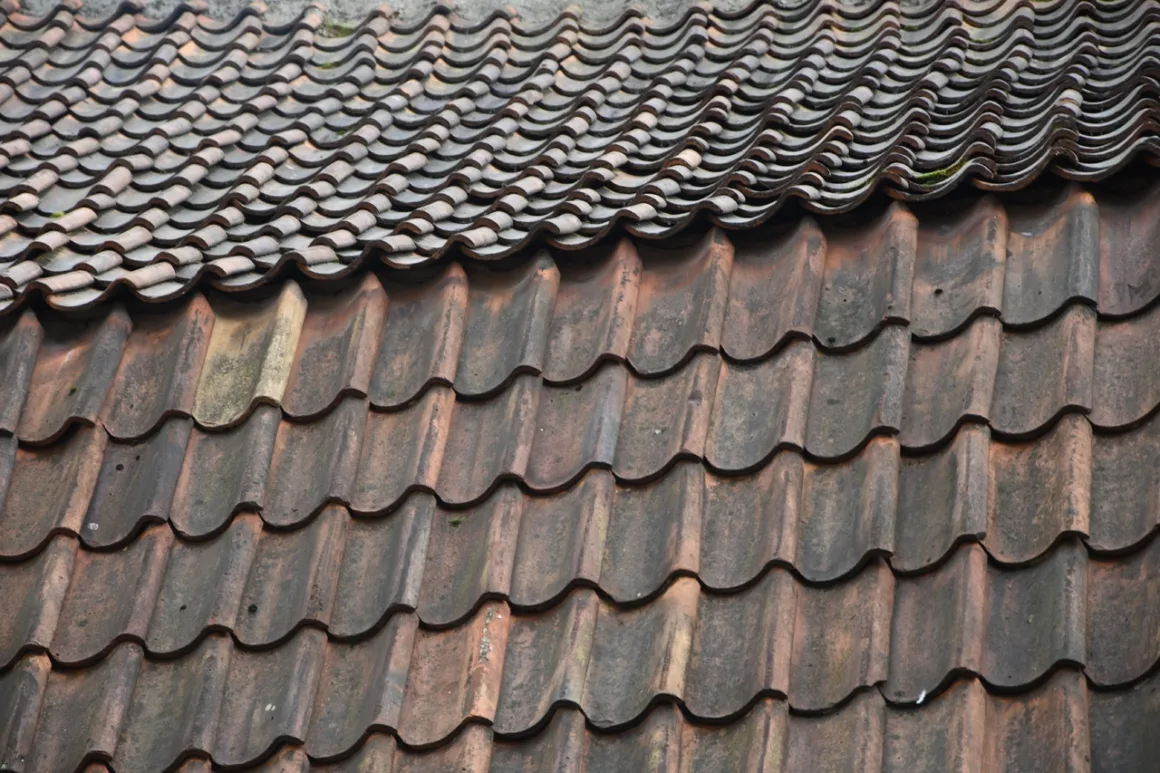 featured image - How to Choose the Right Roofing Material for Your Climate